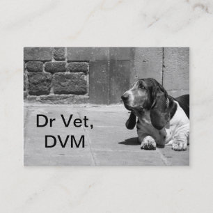 Citas Tarjeta de presentación de Vet III