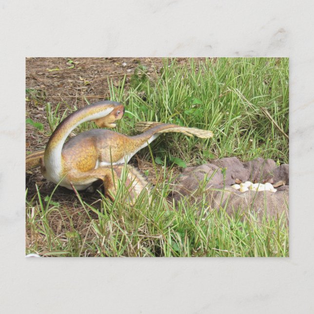 Citipati - Dinosaurio - Tarjeta de aprendizaje (Anverso)
