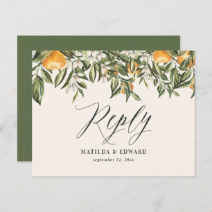 Citrus naranja botánico moderno RSVP