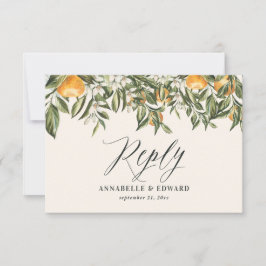 Citrus naranja botánico moderno RSVP