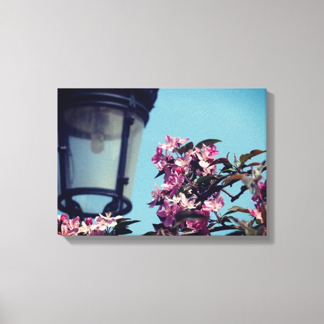 Ciudad de la primavera del arte en el muro acrílic (Anverso)