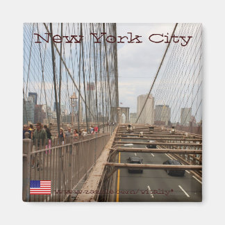 Ciudad de Nueva York desde el imán puente de Brook