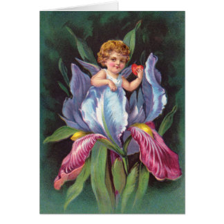 Clapsaddle: Iris de la querube de la flor