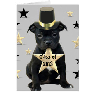 Clase de la tarjeta 2013 de Staffordshire bull