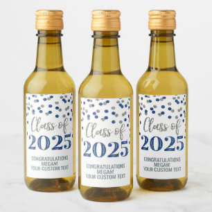 Clase de Purpurina azul plateado de 2025 Graduació