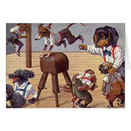 Clase del gimnasio para los perros