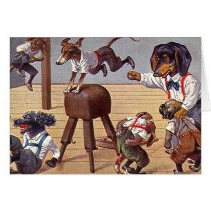 Clase del gimnasio para los perros
