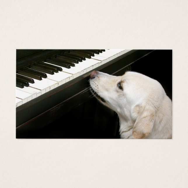 Clases de piano (Frente)
