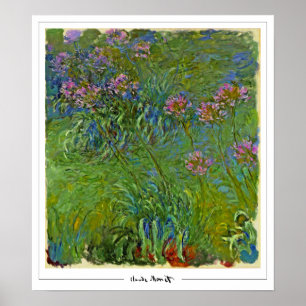 Claude Monet Zedign cartel de arte #158