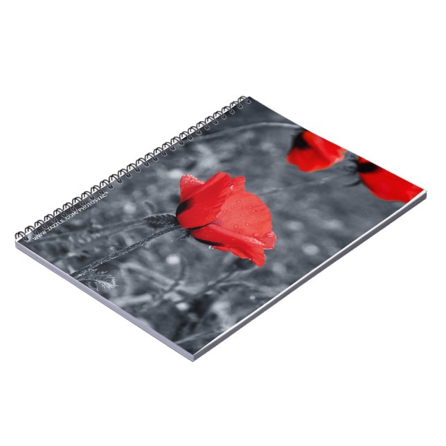 Clave de color Cuaderno de Poppy (Lado Izquierdo)
