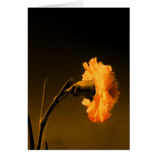 clavel 2