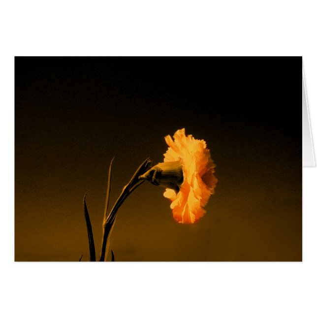 clavel 2 (Anverso (Horizontal))