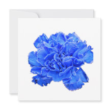 Clavel Azul Serenidad – Tarjeta de Nota Floral Vib