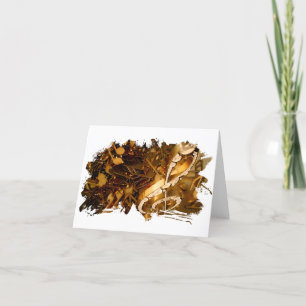 Clef de temblores musicales y notas caídas