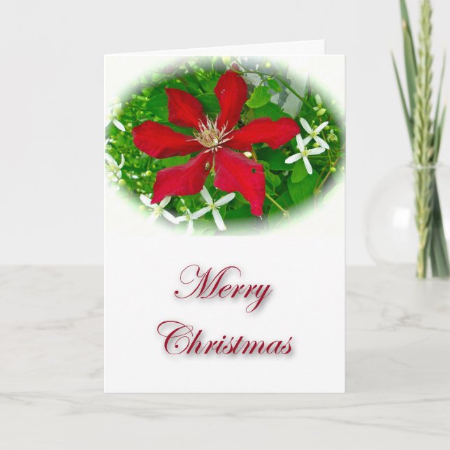 Clemátide Roja Feliz Navidad (Anverso)