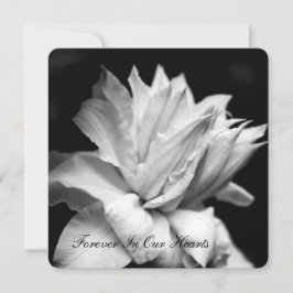 Clematis 1b Invitación en memoria de funerales