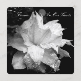 Clematis 2b Dewdrop Invitación en memoria de funer