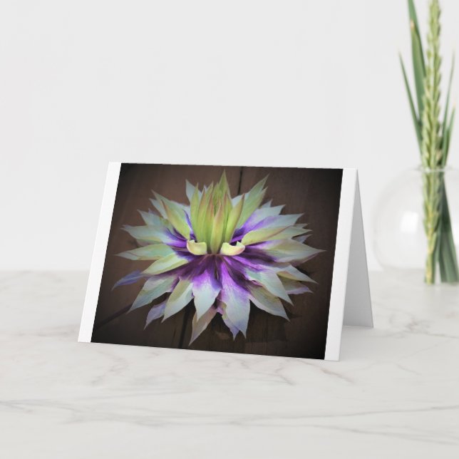 Clematis, tarjeta (Anverso)