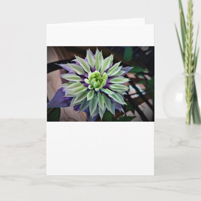 Clematis, tarjeta (Anverso)