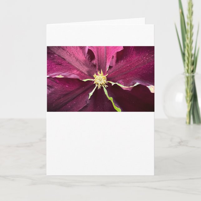 Clematis, tarjeta (Anverso)