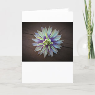 Clematis, tarjeta