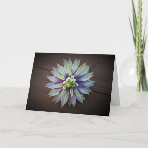 Clematis, tarjeta