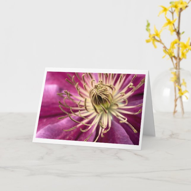 Clematis - Tarjeta de felicitación (flor amarilla)