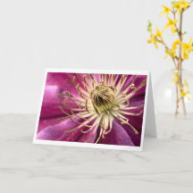Clematis - Tarjeta de felicitación