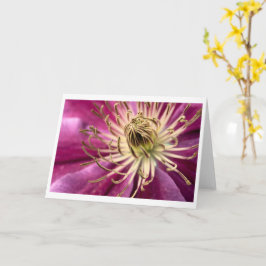 Clematis - Tarjeta de felicitación