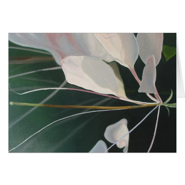 Cleome (Anverso (Horizontal))