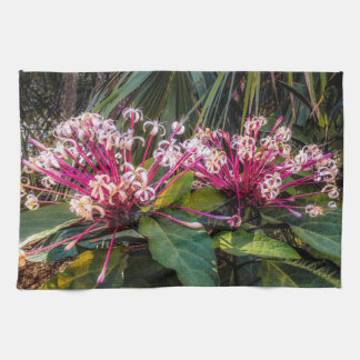 Clerodendrum Starburst Flores Cocina Toallas