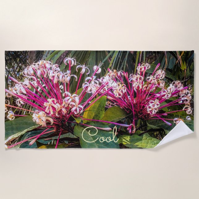 Clerodendrum Starburst Flowers Toalla de Playa (Anverso)