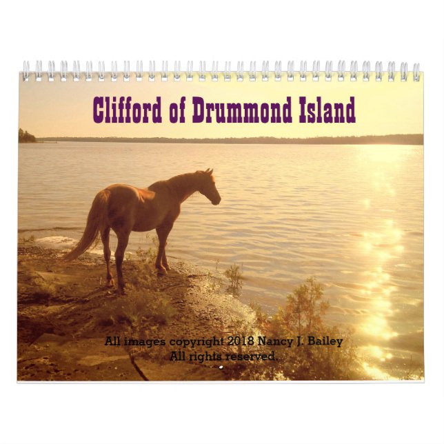 Clifford 2019 el calendario de pared del caballo (Tapa)
