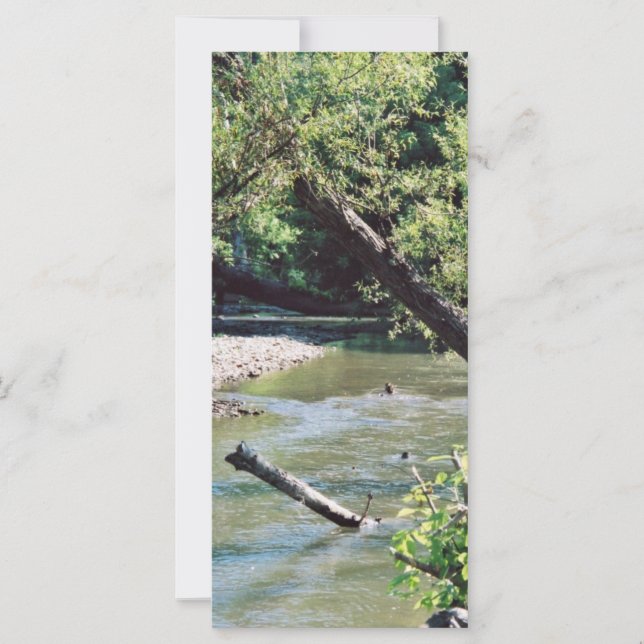 Clinch River Scenic (Anverso)