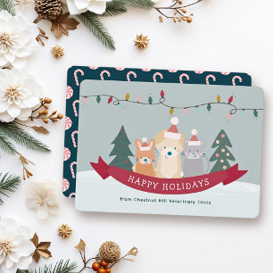 Clínica Veterinaria de Mascotas Navidad