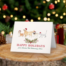 Clínica Veterinaria de Mascotas Navidad