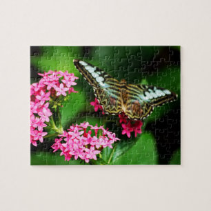 Clipper on Pentas 1 Puzzle