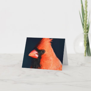 "Close-Up" (Cardinal) - Tarjeta de nota en blanco