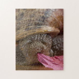 Closeup Snail Eating Paper Bizarre Puzzle