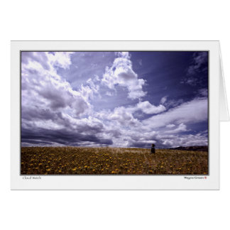 Cloud Watch - California del Norte