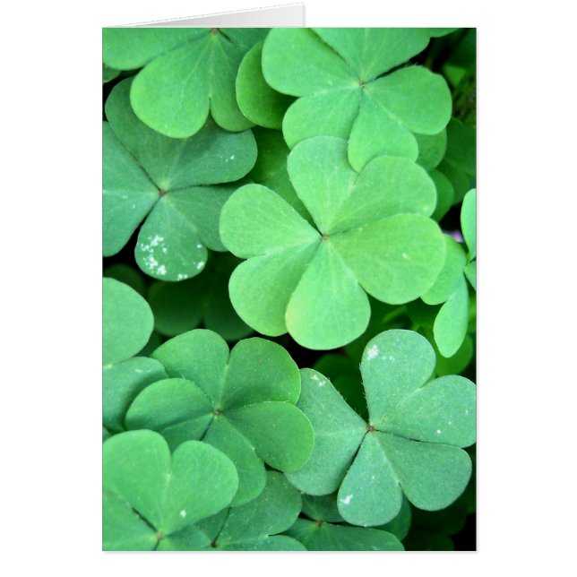 Clovers (Frente)