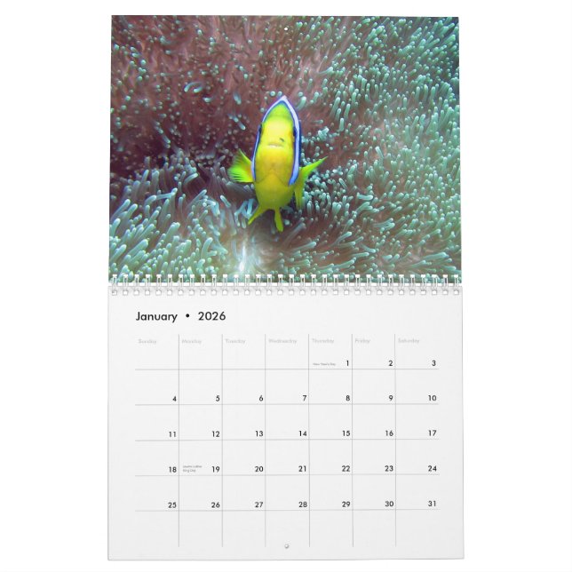 Clownfish del calendario de Fiji 2015 (Jan 2026)