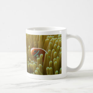 Clownfish en la taza de café de la gran barrera de