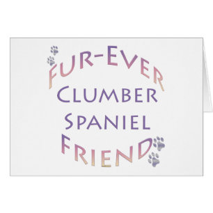 Clumber Spaniel Furever