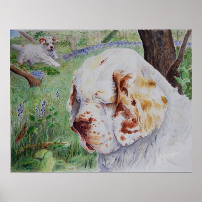 Clumber Spaniel - Impresión de primavera en Woodla (Frente)