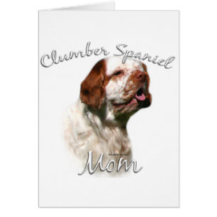 Clumber Spaniel Mom 2