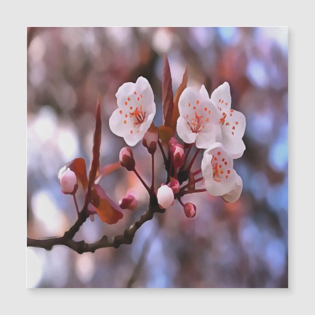 Clúster con flores de cerezo con rosa y azul (Anverso)
