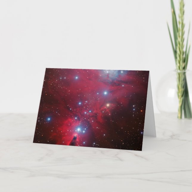 Clúster Estrella de Árbol de Navidad (Anverso)