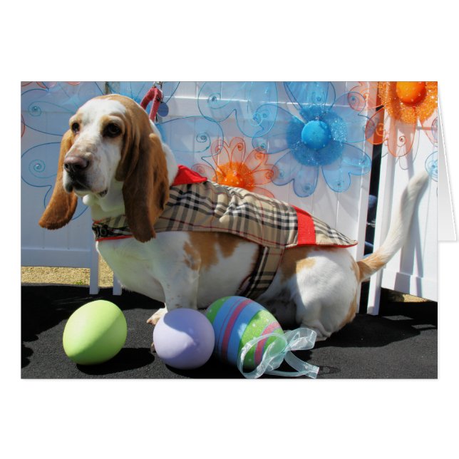 Clyde - Basset Hound -3 (Anverso (Horizontal))