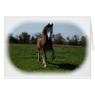 Clydesdale de funcionamiento